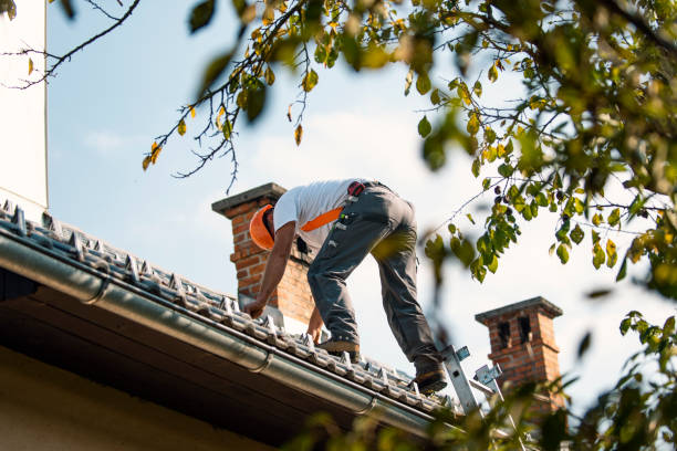 Best Commercial Roofing Services  in Orion, IL