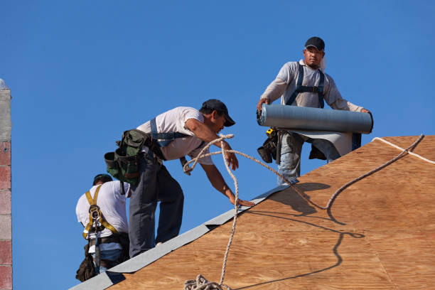 Gutter Installation and Roofing in Orion, IL