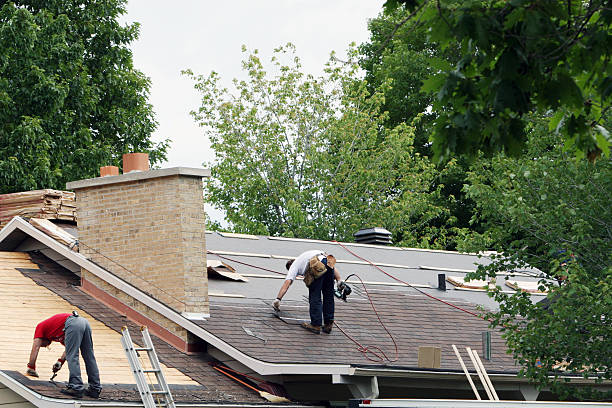 Best Roof Gutter Cleaning  in Orion, IL