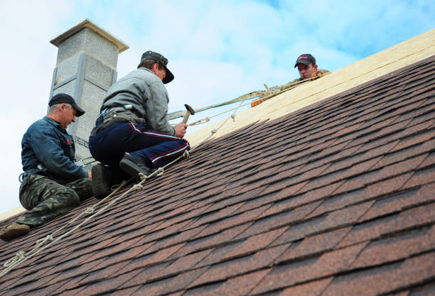 Best Local Roofing Companies  in Orion, IL