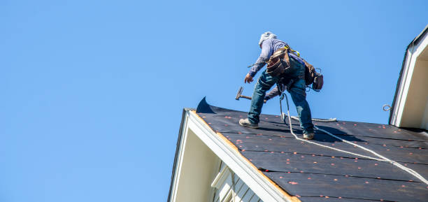 Best Roof Waterproofing Services  in Orion, IL